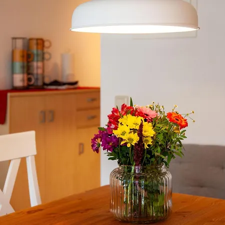 Διαμέρισμα Sinfonie *